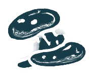 Hantavirus