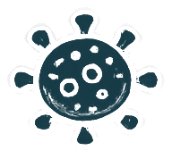 Norovirus
