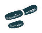 Legionella