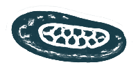 Mpox