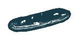 ESBL