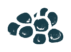 MRSA